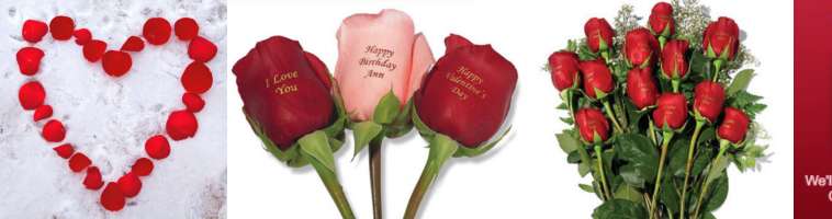 valentine's day friends messages